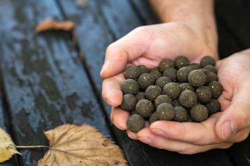 Plasma Squid Boilies 2kg