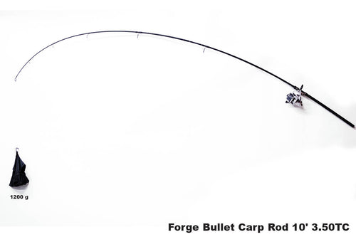 2 Forge tackle Bullet carp rods (Karpfenruten) in Berlin - Hellersdorf