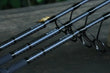 Hammer Stick Kmk Bk Karpfenrute (Teleskopstiel - Schwarz) Ruten