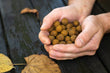 Bouillettes Cream8 2kg