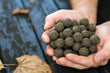 Plasma Squid Boilies 2kg