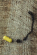 Indicateur de morsure Z-Tek