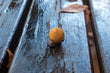 Cream8 Strategy Boilies 20mm 5,5kg