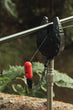 Indicatore di morso Z-Tek