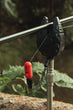 Z-Tek Bite Indicator