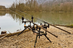 Z2 Compact Rod Pod 2 Rod