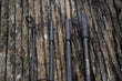 Intercontinental Carp Rod Rods