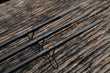 Forge Bullet Carp Rod Rods
