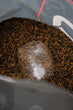 Magnet Micro Pellet MIX Fish Protein & Betaine 2mm 2kg